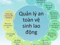 Hình ảnh : Lớp Học An Toàn Lao Động Tại Phú Yên - Ninh Thuận - Khánh Hòa